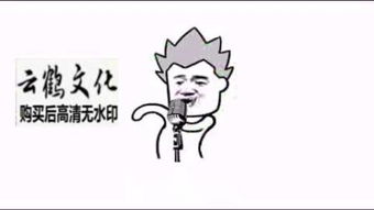 泰山动画片