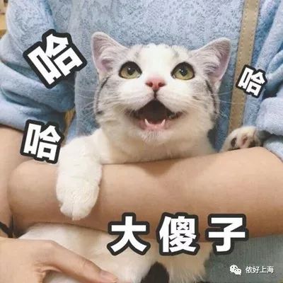 抢劫加微信扫码支付蒙面男深夜劫持女子,结果哈哈哈