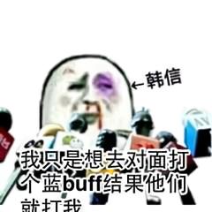王者荣耀搞笑表情图我凭勇气开的团,为什么说我瞎带节奏