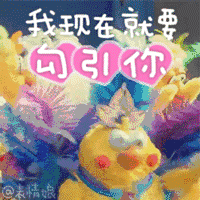 288元秒杀原价2980元合正东部湾正海景浪漫轻奢三房洋房,麻将任打,尊享铂金沙滩,省钱不止一点点