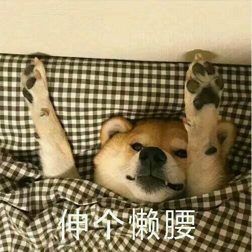 狂放不羁狗狗表情包
