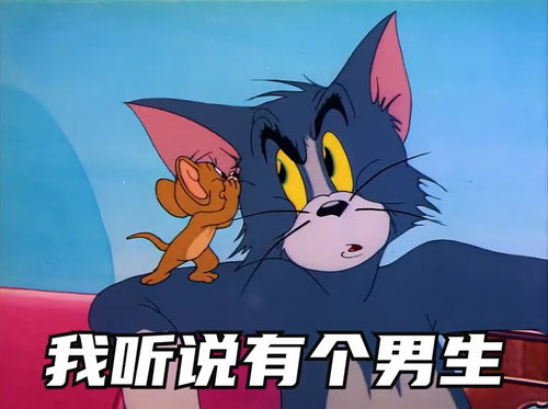 取图主页,我也听说有个男生....表情包搞笑视频经典段子情侣夫妻搞笑聊天记录猫和老鼠