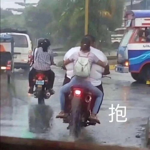 沙雕表情包l疲惫的舔狗