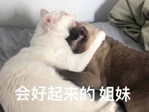 幽默笑话这次考试题目好难,班里好几个人都交了白卷
