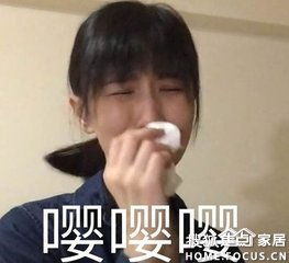 做网红不如玩带盐超越papi酱不是梦沈阳集采论坛