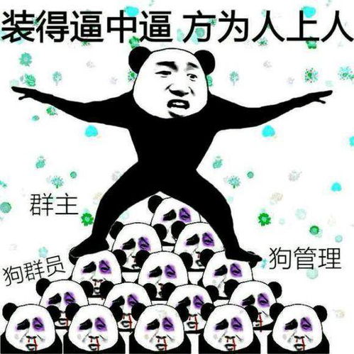 100个搞笑又好玩的表情包