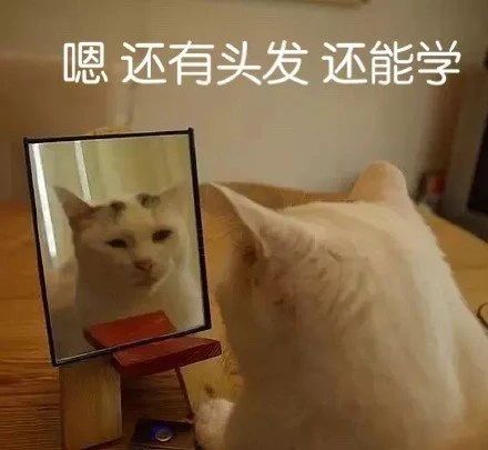 最新热门表情包动图片斗图好看