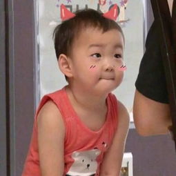 宋民国动态表情包