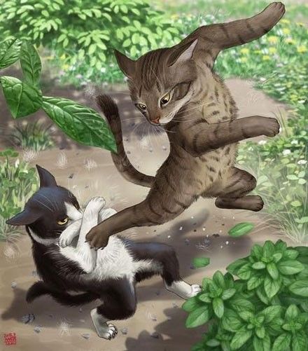 岛国猫奴把猫咪日常画成漫画,这画风还是相当给力的