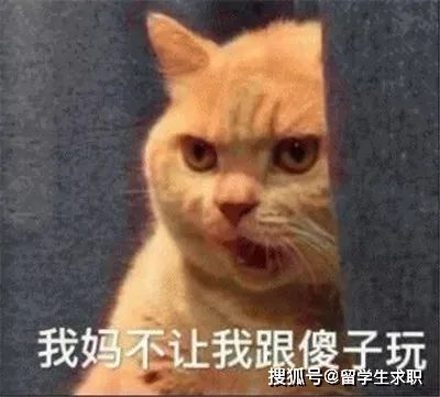 刷完小红书里的最惨野鸡大学榜单,uc系真憋不住了