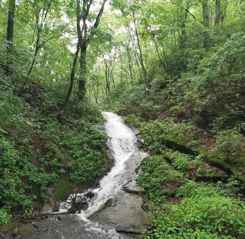 河南一处冷门山水景区,7月气温23c,适合中年人来避暑纳凉