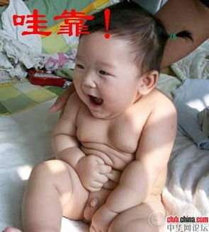运动小白.熏黑尾灯.然后拉了下变形金刚的啦花_悦翔论坛图片集锦_汽车论坛-易车网