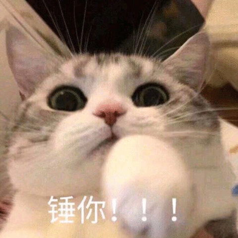 热门表情包图片妹妹,你知道我对你很好奇吗