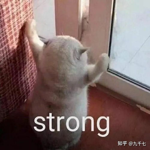 为什么死细胞不会吸水胀破