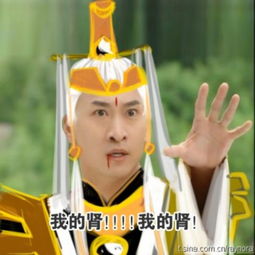 周杰谈尔康被黑惨遭恶搞的尔康表情大全