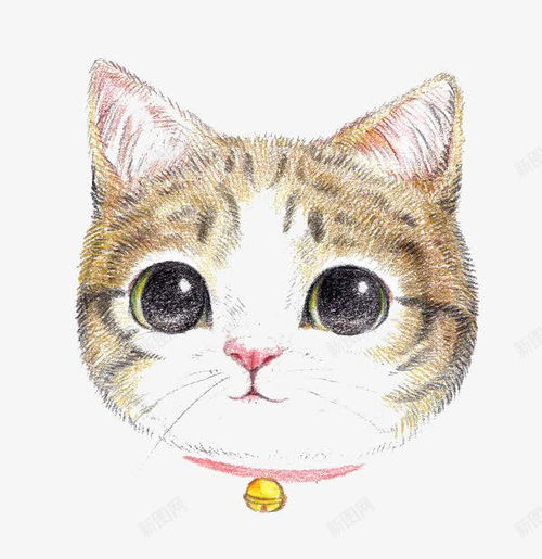 卡通猫咪设计图片免费下载页面网页平面电商创意素材学校卡通素材