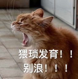 王者荣耀咆哮表情包打个游戏嗓子都要吼哑了