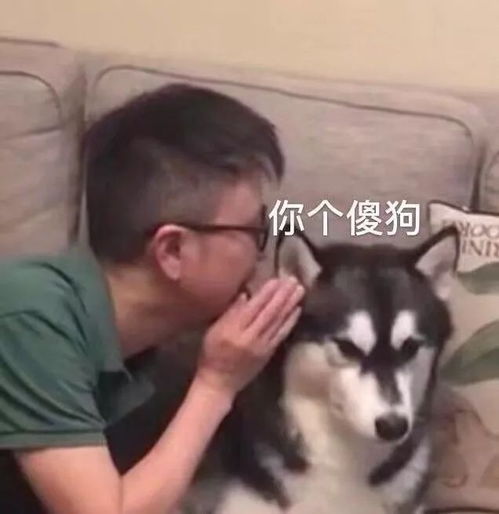 搞笑段子喜欢就多看两眼,一会被别人买走了工科男填空题网易订阅