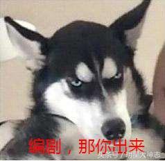 楚乔传的编剧一言难尽,ip编剧于正可以开始表演了