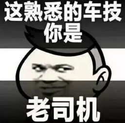 油门加速器会成为改装神器电动车也能用从实招来
