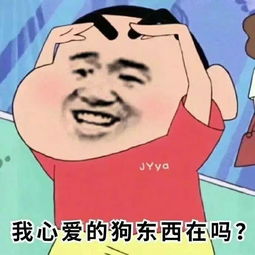 表情包,聊天斗图再也不愁了