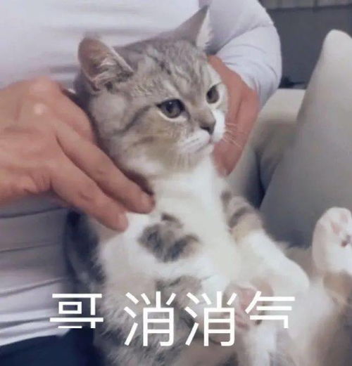 亲妈酒后私信哈哈哈太刺激了我不敢看