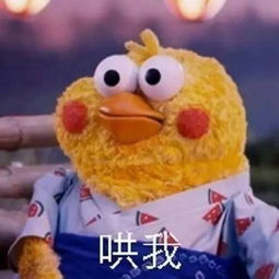表情包每日更新,我就问你爱不爱我