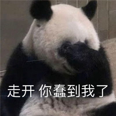 不会相信你的鬼话让你收获好心情的搞怪表情包
