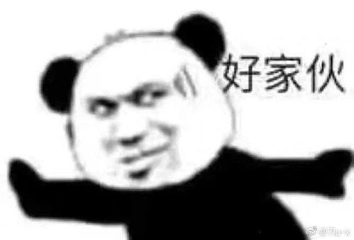 表情包斗图专用表情包