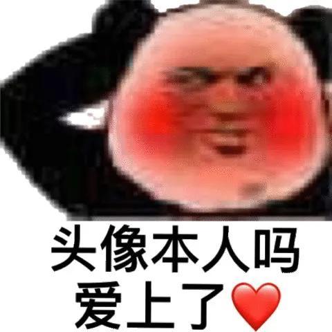 搞笑沙雕熊猫头表情包斗图聊天必备1期