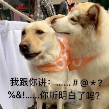 最近火了调皮表情包东方不亮西方亮,你爹啥样我啥样