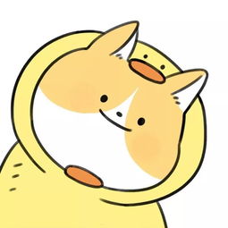 今日头像