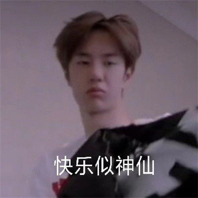 很实用很有趣的热门聊天表情好玩又搞怪的表情2021