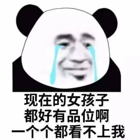 搞笑沙雕熊猫头表情包