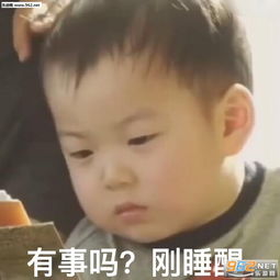看破红尘沙雕表情包可是啊人生是很残酷的小丸子表情包下载乐游网游戏下载