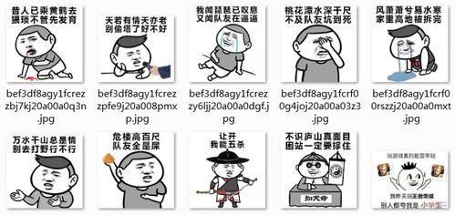 王者荣耀坑队友qq表情王者荣耀坑队友表情包qq表情arp下载站