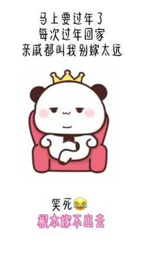 每次过年回家,亲戚都叫我别嫁太远问题是根本嫁不出去搞笑表情包