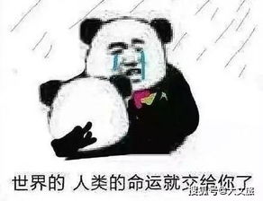 这些记者也太好笑了8