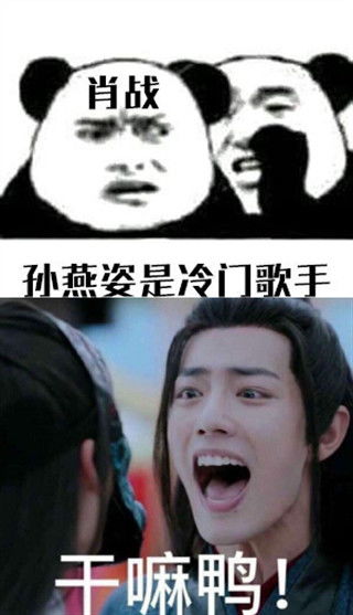 肖战给孙燕姿反黑,发搞笑表情包怼人,像极了我追星时候的样子