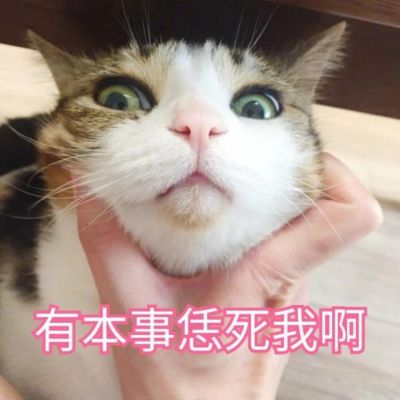 只有互相的爱才叫做爱qq动漫情侣头像