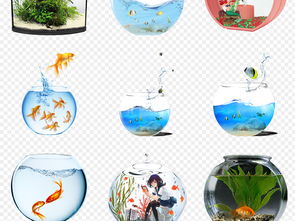 卡通手绘透明水族馆观赏鱼缸金鱼png海报背景免扣素材图片模板下载49.69mb其他大全生活工作
