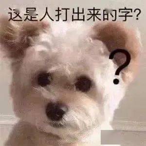 可爱动物表情包
