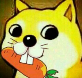 收集这个类型的doge卡通头像谢谢了