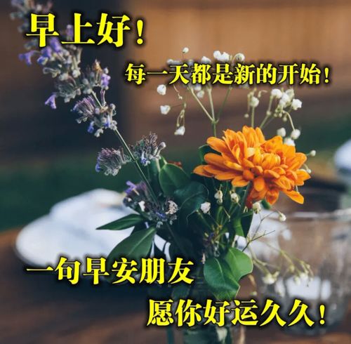 星期五早上好图片问候语微信早安祝福语唯美句子带图片