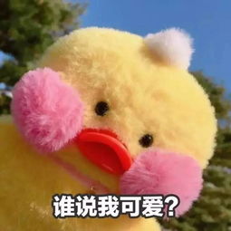 你是不是拿我表情包去撩别人了