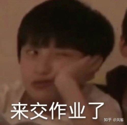 交作业使用的沙雕表情包有哪些