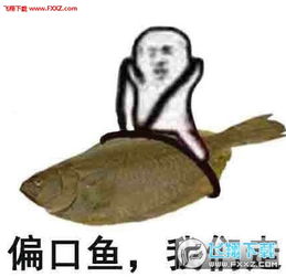 皮皮虾我们走系列表情包图片下载皮皮虾我们走表情包高清无水印版下载飞翔下载