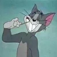 谁有卡通猫和老虎的情侣头像