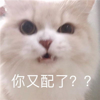 很好笑的又很热门的微信聊天表情最新聊天必备表情合集