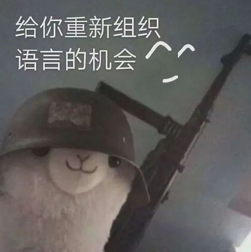 世界杯boy出击